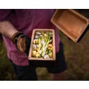 Bricknic tehla na varenie svetlá