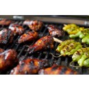 Plynový cestovný gril Weber Traveler Compact