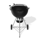 Gril Weber Master-Touch GBS Premium E-5770