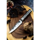 Forged Intense - mäsiarsky nôž 25,5 cm