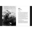 Kuchárka Michal Hugo Hromas - Vandrbuch II