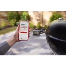 Weber Smart Hub Display & Booster