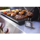 Weber Smart Hub Display & Booster